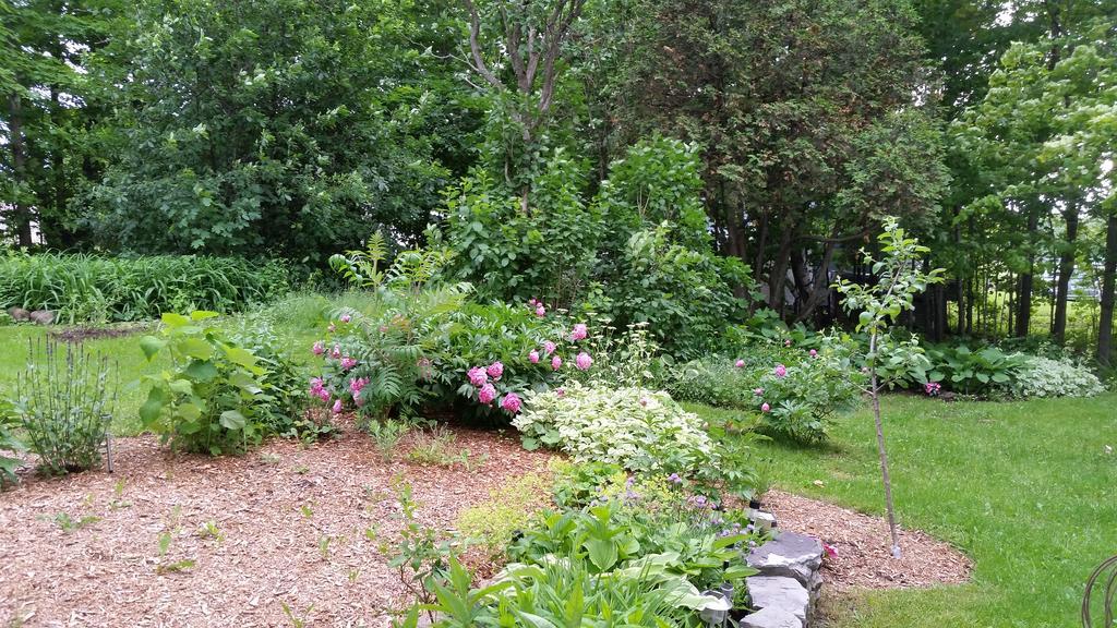 La Maison Ancestrale Guerard Saint-Laurent-de-l'ile d'Orleans ภายนอก รูปภาพ